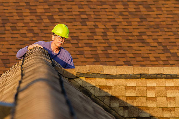 Best Roof Gutter Cleaning  in Westway, TX